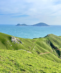 �˼���������ĵd�е�