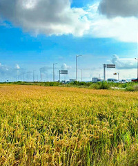 ����Ķ��ˮ����������