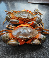 [�۸���]��з��ô���������죬�Թ���ظµĸ���