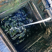 ��ǧ���Ȫ��û�иɺԹ�