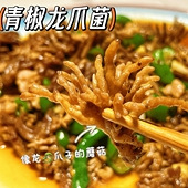 ����צ�ӵ�Ģ��