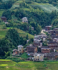 ���ܡ��������ָ����Ż���̨�ݻ���������������