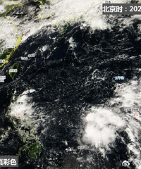 ̨�硰�����������������������Ӱ��̨�ݣ��������15��