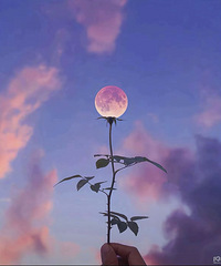 [�۸���]���ⳡ��Ҳһ��������ͷ�����ô���������⣿