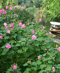 �轵14�棡�㽭����19��һ�����������ҲҪ��