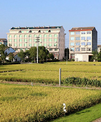 [����]��ɫ����+���������޶��桱������ͯ��