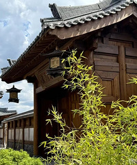 85��·���У������������� ����������һ��