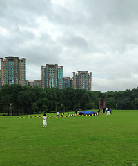 ������㳡�������������