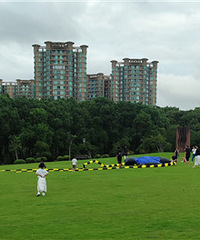 ������㳡�������������