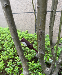 �����ڸ���