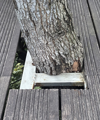 ���ǹ����ĸ�����