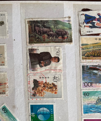 ���Ǽ�����