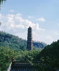 ��2025�μǡ������ɹ�����