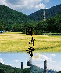 �����ɹ�����