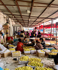 ���μ������ᵽ������