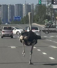 ̨��·���������ڿ�