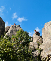 ��2025�μǡ�������ɽ�ϻ��ѻ��ߣ�����Ҳ�����ио���