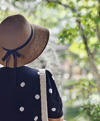 2025���μ�֮-�����������Ʋ�