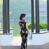 �����������Ʋ�