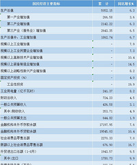 ̨��2025������GDP��¯��ͬ������6.3%