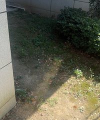 �ع⣡̨��3����ҵ�Ϻڰ񣡿쿴�������ҵ��