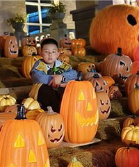 ��һ��ȥ�μӿ�Ұ����ҹ