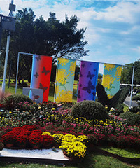 ̨��ֲ��԰����ջ�չ