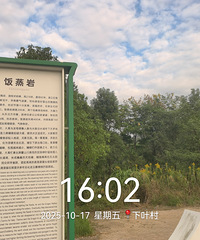 ���춥����������������峿����