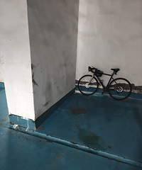 ʲô�˻��ڵ��³�������