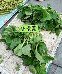 ���г����ǽ����˼�۲�ĺõط���������˼�����źܶ�������ѧ