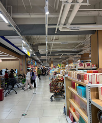 ����ʢ�ָĵ����ѧ�˸�Ƥë