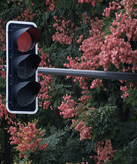 �ٺ������������޶�����