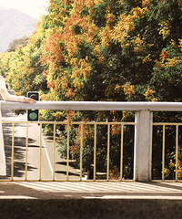 �ٺ������������޶�����