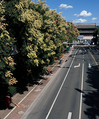 �ٺ����������޶�����