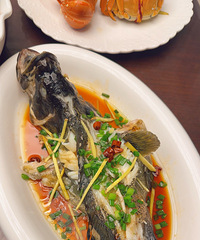 �ҳ��ˣ���������ˣ��˻�û���ҾͿ�ʼ�����