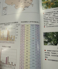 ̨�ݵ���ĻԻͣ���֧��������˾�˽�ҳ�ӵ�б���ȫʡǰé