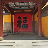 ת��������