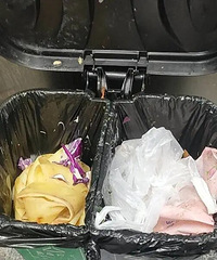 ��ԼС�ݡ��ϵ»������������¡���ڰ񡱳�¯��