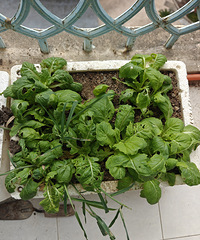 Ӫ����ԭ���ǹ�ҵ��������