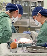 52������ں��ݲ�������̥