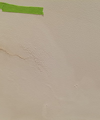 22�����˶�ʢѧ�������·���˭֪��������˸�����