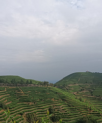 87��·��������˽���ϰ࣬�Ҹ�̤ʵ�����ӵ�Ů��