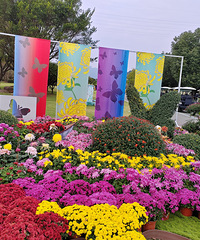 �ջ�չΪ������Ʊ�������𴲣�����7��25�ֳɹ������԰