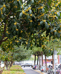 �������ǣ�������������������