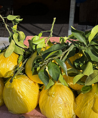 �����ĵ�9Ԫһ��Բ���