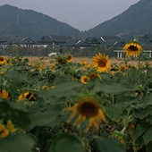 ר����ŭ���꽹��