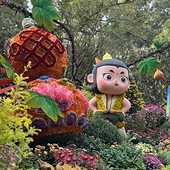 ����ֲ��԰�ջ�չ