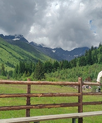 ���š���ɽ�ʺ�֮���������÷�