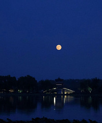 ��XXXL�š�������Ҫ���ˣ�