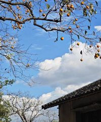 ʪ��ֻ����ʱ�ģ�̨��������ֽ�����30�棡��ת���ϵ�����